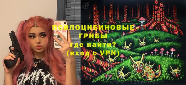 трава Белокуриха