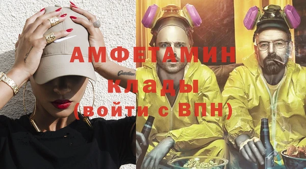 трава Белокуриха