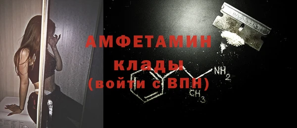 трава Белокуриха