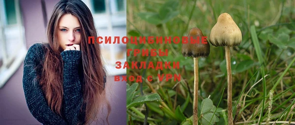 винт Белоозёрский