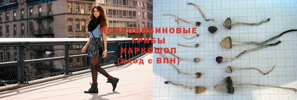 трава Белокуриха