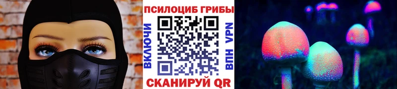 Псилоцибиновые грибы мицелий  Выборг 